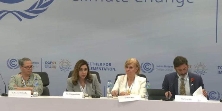 وزير المالية: لابد من حشد التمويل الدولي لبناء نظم صحية مقاومة للمناخ بالبلدان النامية