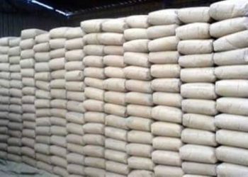 أسعار الجبس