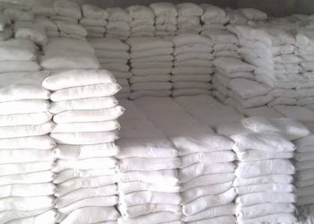 أسعار الجبس