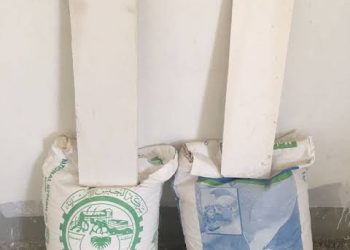 أسعار الجبس