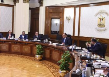 رئيس الوزراء يتابع جهود تنمية “منطقة المثلث الذهبي”