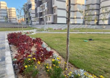 رئيس جهاز العبور الجديدة: جارٍ استكمال أعمال الطرق بمناطق المبادرة الرئاسية "سكن كل المصريين"