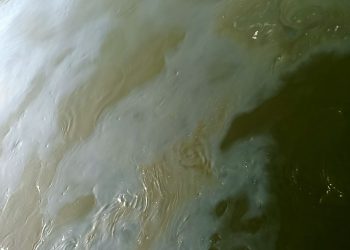 اليوم ظهور بقعة سولار امام مأخذ محطة مياه شطورة السطحية بسوهاج