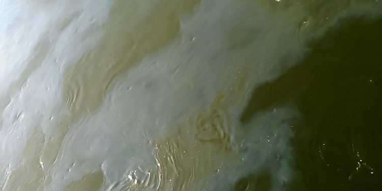 اليوم ظهور بقعة سولار امام مأخذ محطة مياه شطورة السطحية بسوهاج