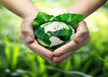 وفقا لقرار رئيس الوزراء رقم 2738.. تنفيذ أعمال الدورة الثانية للمشروعات الخضراء الذكية بالقاهرة