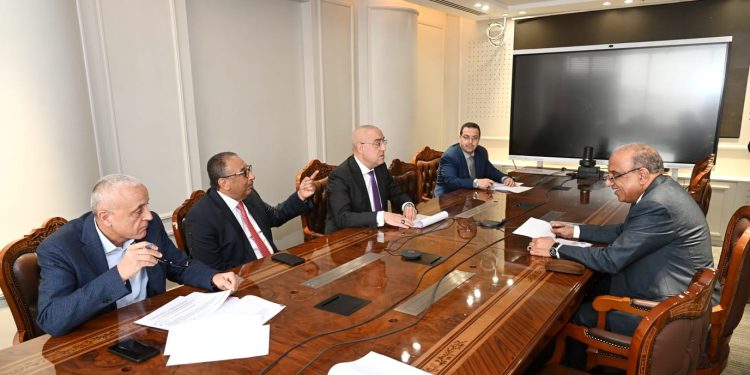 ‫ وزيرا الإسكان وقطاع الأعمال العام يستعرضان أوجه التعاون المشترك