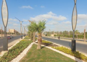 جهاز حدائق اكتوبر ينتهي من تطوير طريق زويل 30 يونيو