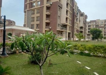 جهاز حدائق اكتوبر: زراعة الأشجار الخيمية بمشروع الاسكان الاجتماعي ٦٤٥ عمارة والانتهاء خلال شهر