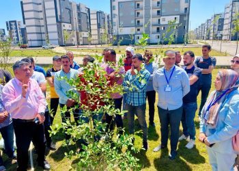 جهاز المنصورة الجديدة وسكان المدينة يشاركون في احتفالية اليوم العالمي للبيئة بزراعة الأشجار المثمرة