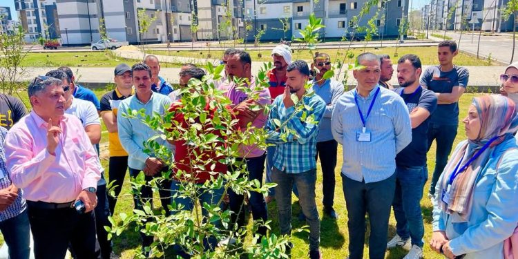 جهاز المنصورة الجديدة وسكان المدينة يشاركون في احتفالية اليوم العالمي للبيئة بزراعة الأشجار المثمرة