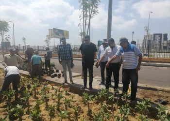 رئيس جهاز  “دمياط الجديدة” يتفقد سير العمل بمشروع جنة السكنى