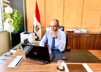 الدكتور سيد إسماعيل