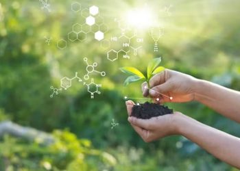 حقيقة المفاهيم الخاطئة عن النباتات والتبغ.. وتسبب النيكوتين فى أضرار صحية