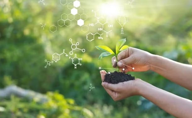 حقيقة المفاهيم الخاطئة عن النباتات والتبغ.. وتسبب النيكوتين فى أضرار صحية