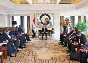 رئيس الوزراء يلتقي رئيس البنك الافريقي للتصدير والاستيراد “أفريكسيم بنك”