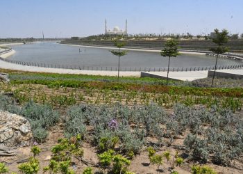 الحدائق المركزية بالعاصمة الإدارية