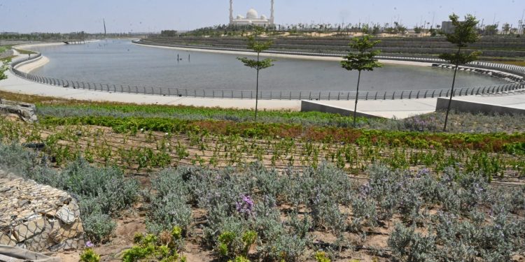 الحدائق المركزية بالعاصمة الإدارية