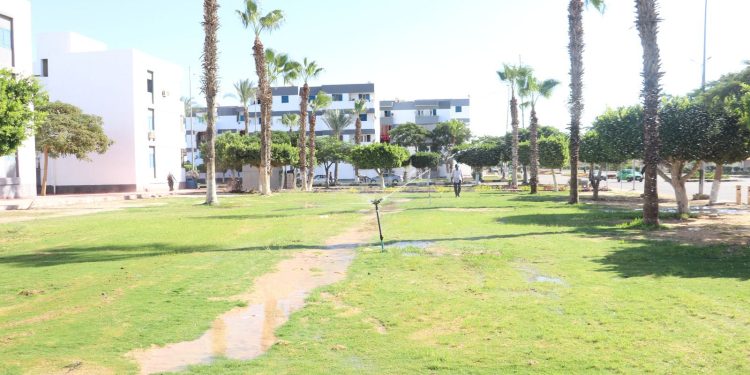 تنفيذ محطتي محولات كهرباء بتكلفة 800 مليون جنيه وبنية أساسية وتطوير طرق بالسادات