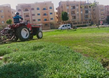 استكمال أعمال صيانة المسطحات الخضراء والأشجار بمدن الشيخ زايد والشروق ودمياط الجديدة 