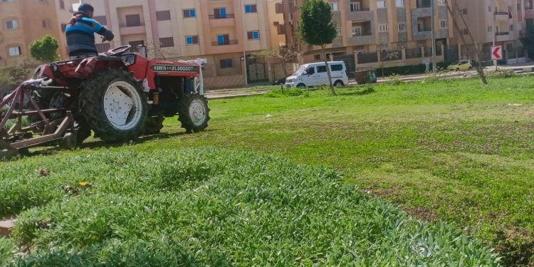 استكمال أعمال صيانة المسطحات الخضراء والأشجار بمدن الشيخ زايد والشروق ودمياط الجديدة