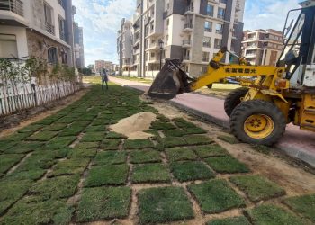 رئيس جهاز مدينة دمياط الجديدة يتفقد مشروعات دار مصر وجنة بالحي السادس