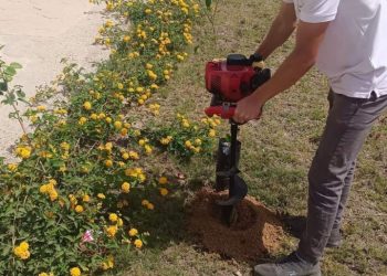 بدء تنفيذ أعمال مبادرة “شجَّرها” لزراعة الشجر المثمر بمنطقة سكن مصر بالعبور الجديدة