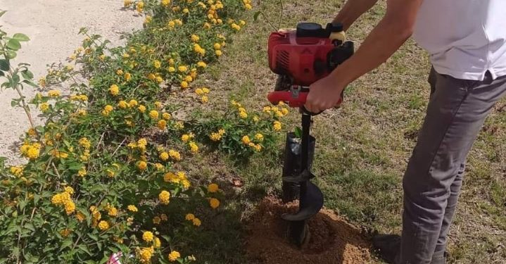 بدء تنفيذ أعمال مبادرة “شجَّرها” لزراعة الشجر المثمر بمنطقة سكن مصر بالعبور الجديدة