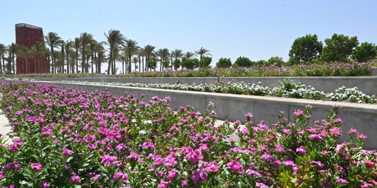 ‫ وزير الإسكان: زرعنا 46 ألف شجرة ونخلة مثمرة وغير مثمرة بمشروع الحدائق المركزية بالعاصمة الإدارية الجديدة