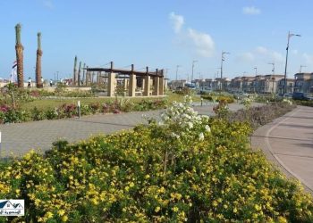 وزير الإسكان: حرصنا فى كل مشروعاتنا على زيادة نصيب الفرد من المسطحات الخضراء