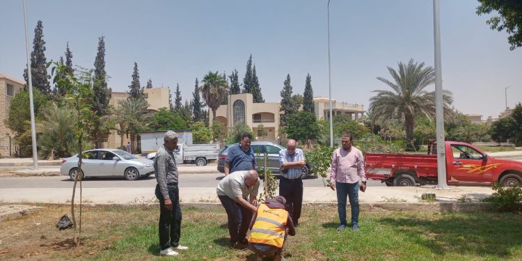 جهاز تنمية مدينة الشروق يعلن بدء زراعة 3500 شجره مُثمرة بعدة أحياء ومناطق
