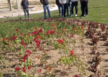 جهاز ١٥ مايو يُكثف أعمال الكهرباء وتنسيق الموقع بمواقع المبادرة الرئاسية “سكن لكل المصريين”