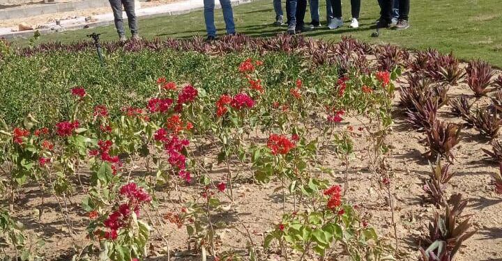 جهاز ١٥ مايو يُكثف أعمال الكهرباء وتنسيق الموقع بمواقع المبادرة الرئاسية “سكن لكل المصريين”