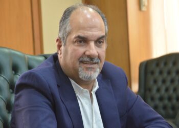 أيمن عبد الحميد