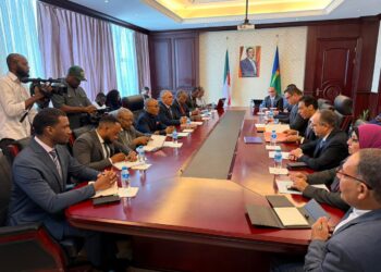 جلسة مباحثات موسعة لوزير الإسكان ونظيره الاكواتورى.. وتنفيذ 100 ألف وحدة سكنية بغينيا الاستوائية