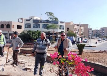 جهاز الشروق يشن حملة لإزالة الإشغالات ويواصل أعمال التطوير