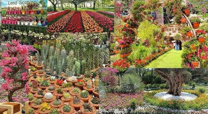 وزارة الزراعة تقرر تمديد فعاليات معرض “زهور الربيع” حتى نهاية مايو