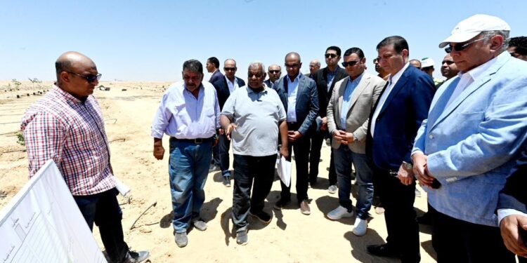 وزيرا الإسكان والزراعة يتفقدان محطة التجارب البحثية لتحلية مياه البحر لإمكانية استخدامها في زراعة أصناف مختلفة من الخضر والفاكهة بمدينة العلمين الجديدة