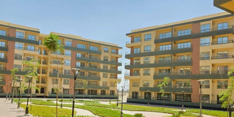 جهاز مدينة 6 أكتوبر يواصل أعمال الزراعة والتجميل بمشروع “صبا” السكني بالتوسعات الشمالية