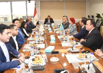 وزير الإسكان يلتقي وفدا من الجالية المصرية في الولايات المتحدة الأمريكية