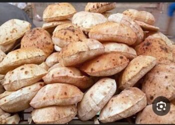 خبز مدعم